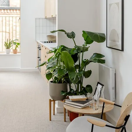 King Street - King Henry Iv 3*